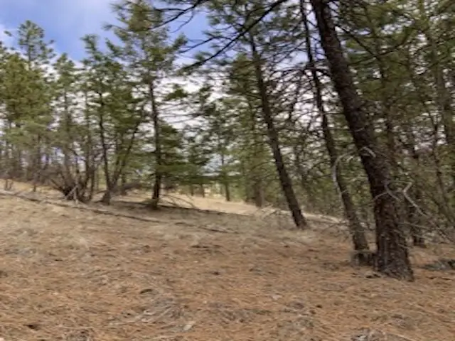 31755 E Gambel Ln, Davenport, WA 99122 - #2