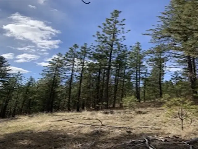 31755 E Gambel Ln, Davenport, WA 99122 - #3