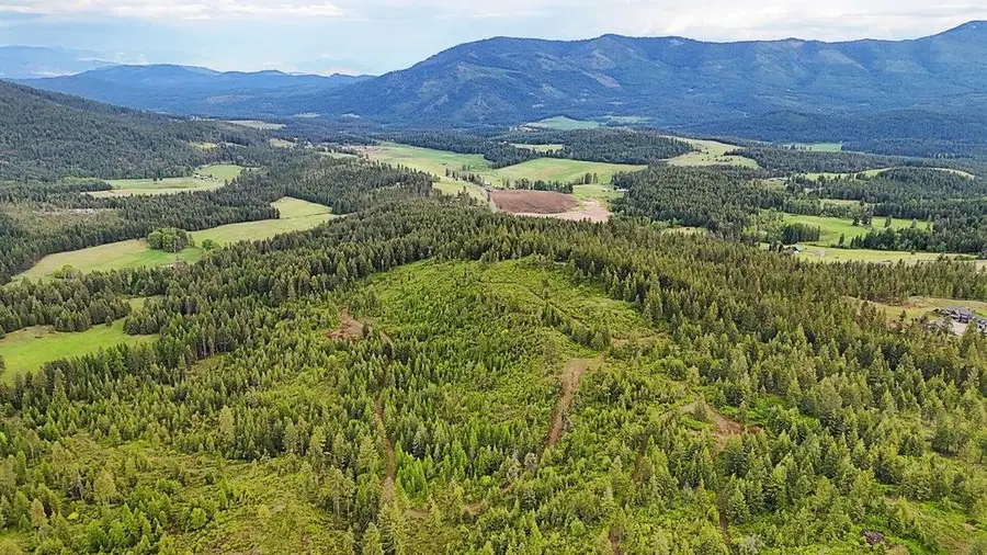 25XX Burgess Rd, Addy, WA 99101-0000 - #2