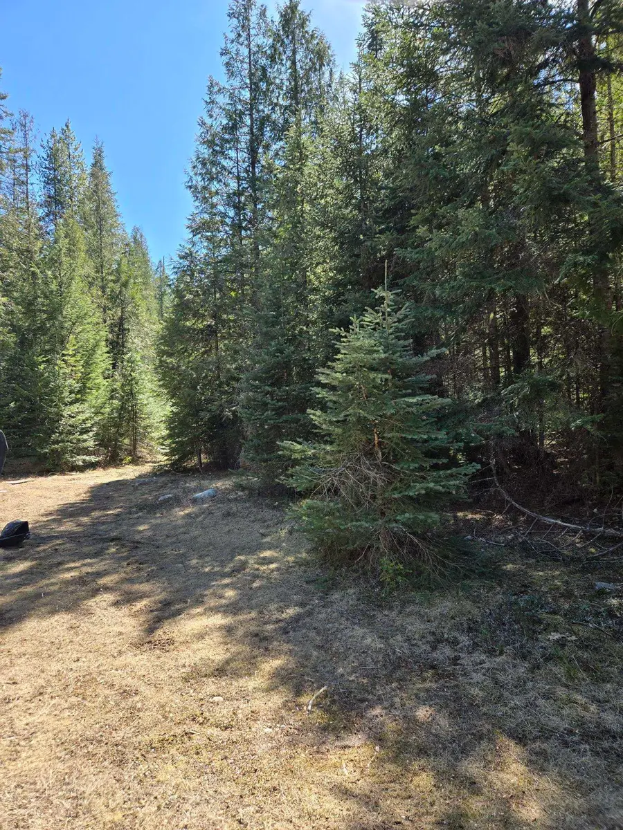 192 Meadowlark Ln, Cusick, WA 99119 - #2