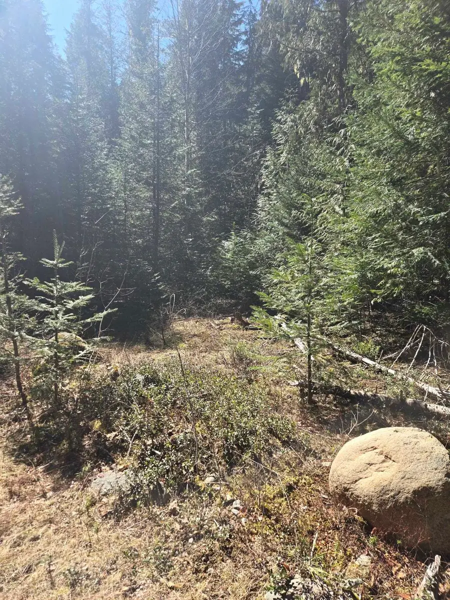 192 Meadowlark Ln, Cusick, WA 99119 - #3