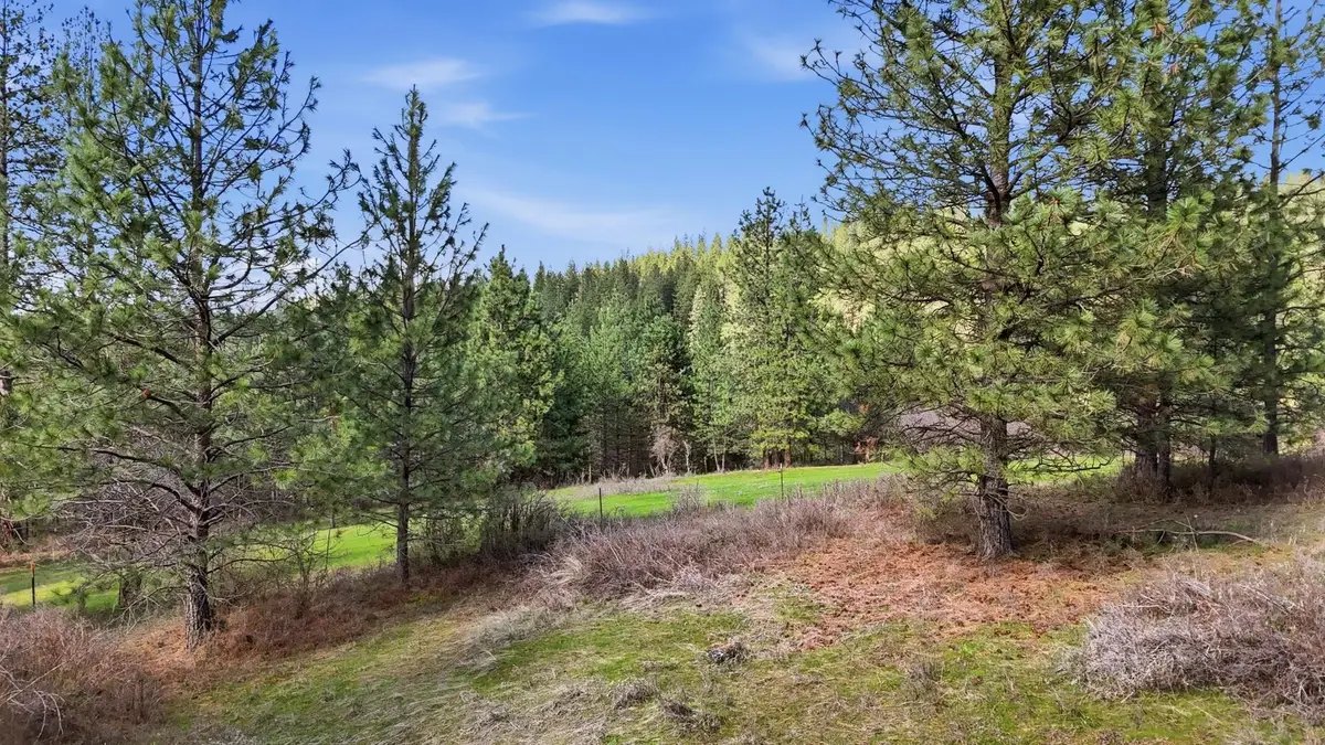 151XX E Cooper Rd, Mead, WA 99021 - #1