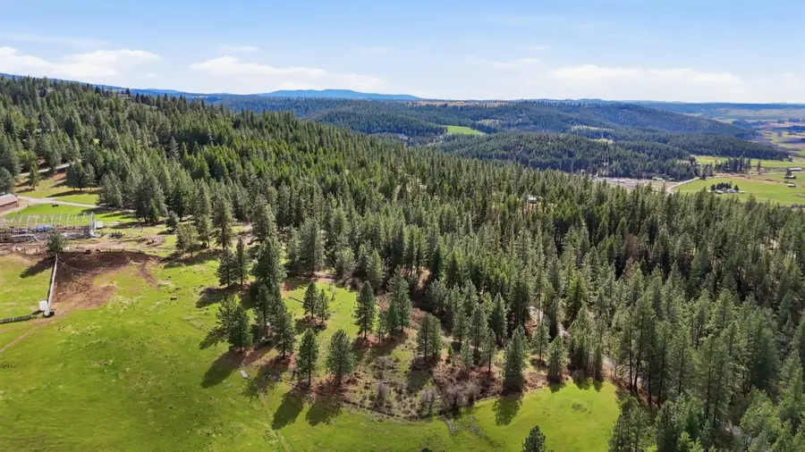 151XX E Cooper Rd, Mead, WA 99021 - #2