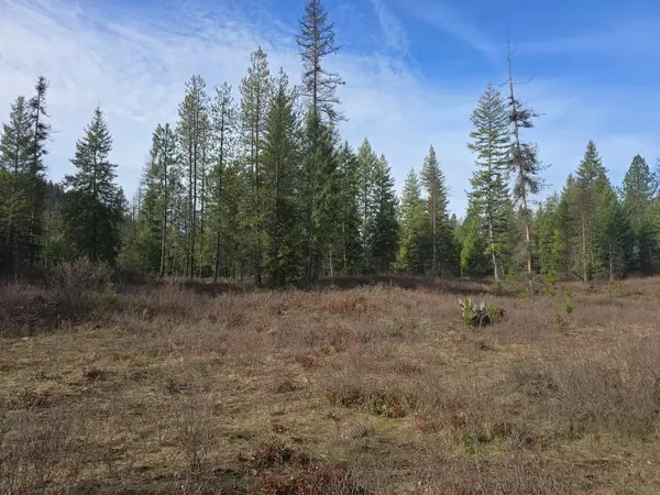 3XXX Lot #11 Larkspur Way, Kettle Falls, WA 99141-0000