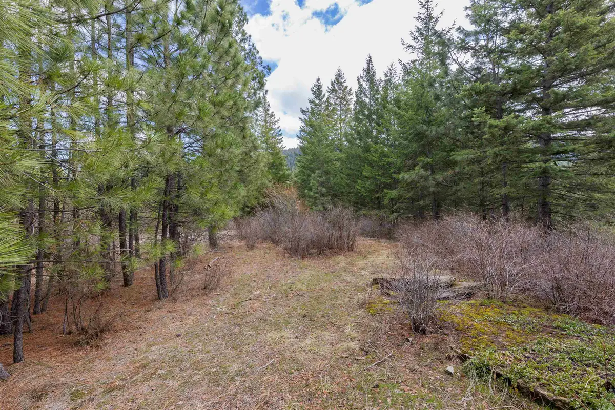 31xxx N South Jackson Rd, Elk, WA 99009 - #1