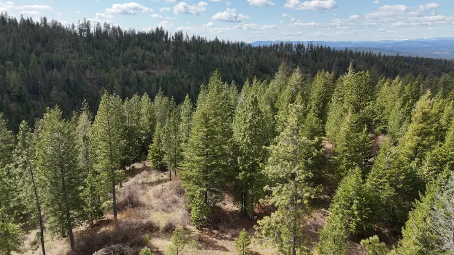 31xxx N South Jackson Rd, Elk, WA 99009 - #2