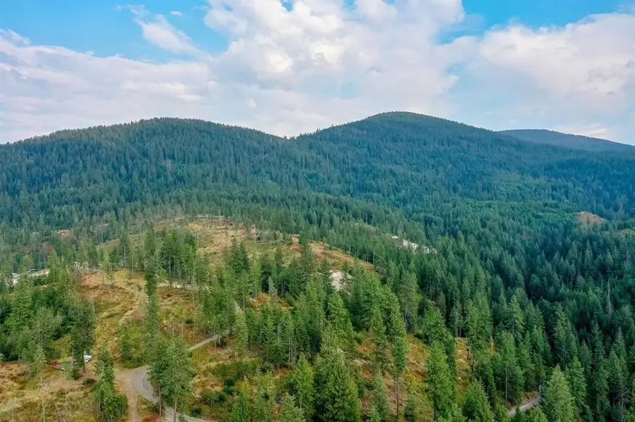 31xxx N South Jackson Rd, Elk, WA 99009 - #3