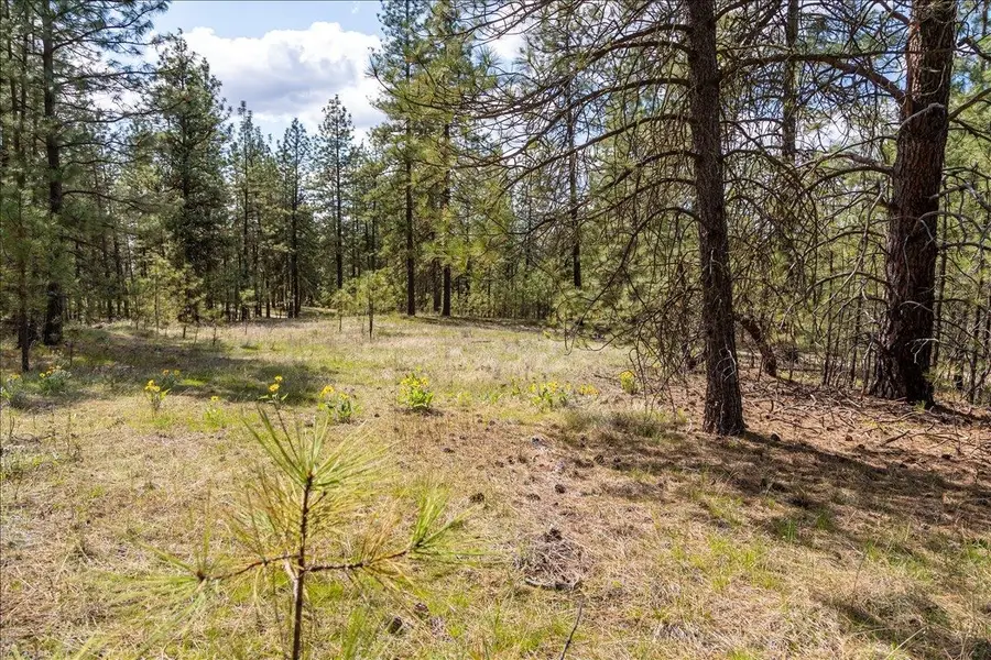 0 N Mathias Ln, Nine Mile Falls, WA 99226 - #3