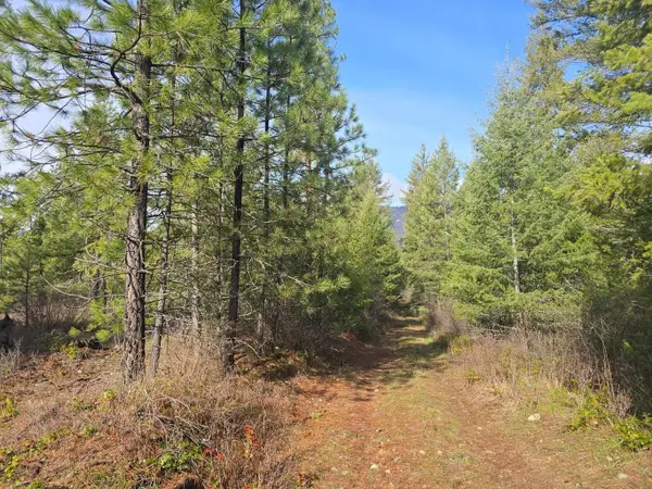 3XXX Lot #12 Larkspur Way, Kettle Falls, WA 99141-0000