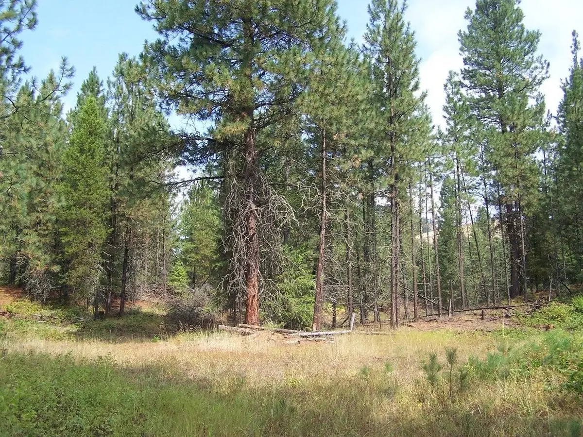3XXX Lot #13 Larkspur Way, Kettle Falls, WA 99141-0000 - #1