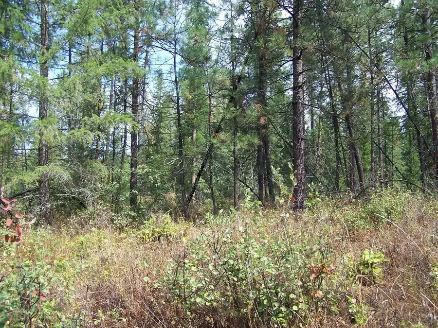 3XXX Lot #13 Larkspur Way, Kettle Falls, WA 99141-0000 - #2