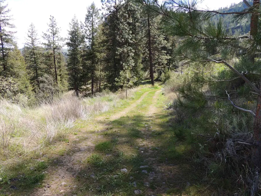 39395 Bluff Overlook Pt. N, Lincoln, WA 99147 - #3