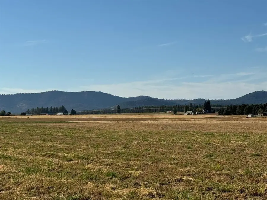 XXXX N N Spotted Rd Rd, Deer Park, WA 99006 - #3