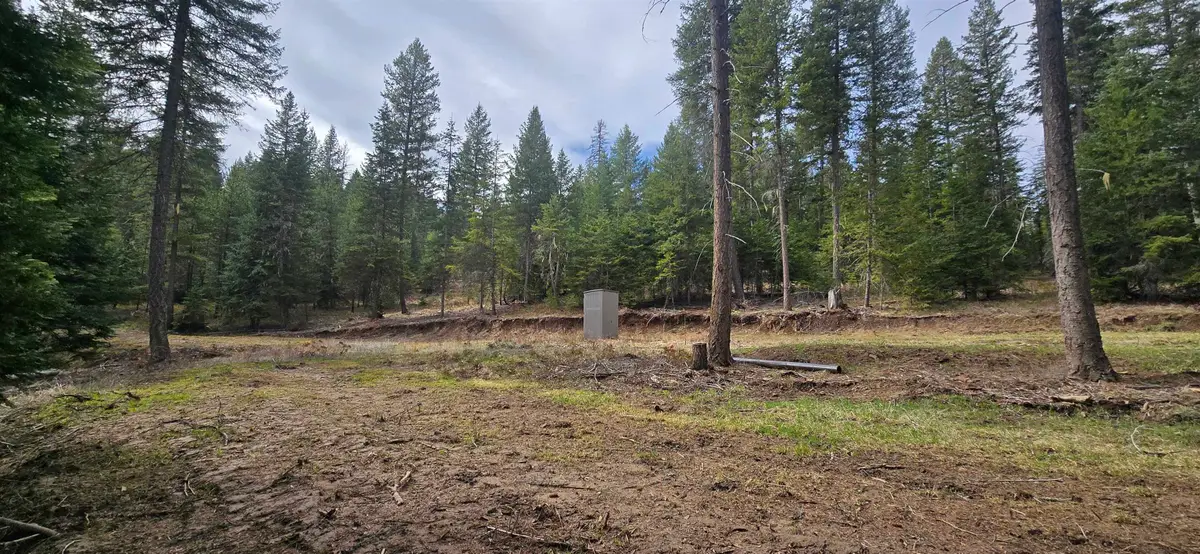 4910 Getna Way, Springdale, WA 99173 - #1