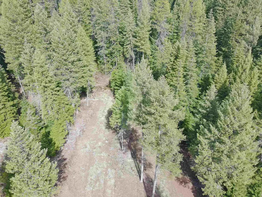 4910 Getna Way, Springdale, WA 99173 - #2