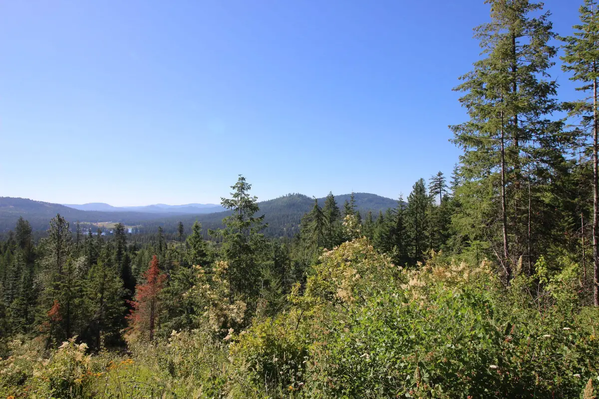 XXX Buck Creek Rd, Newport, WA 99156 - #1