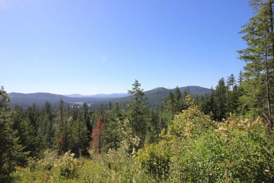 XXX Buck Creek Rd, Newport, WA 99156 - #2