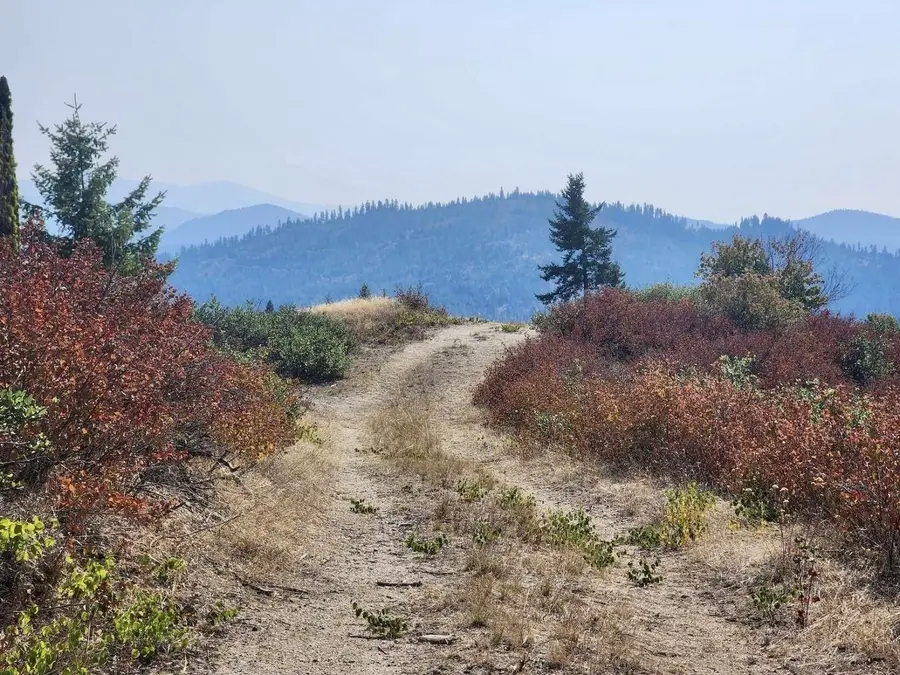 1700 Hershaw Rd, Newport, WA 99156 - #2