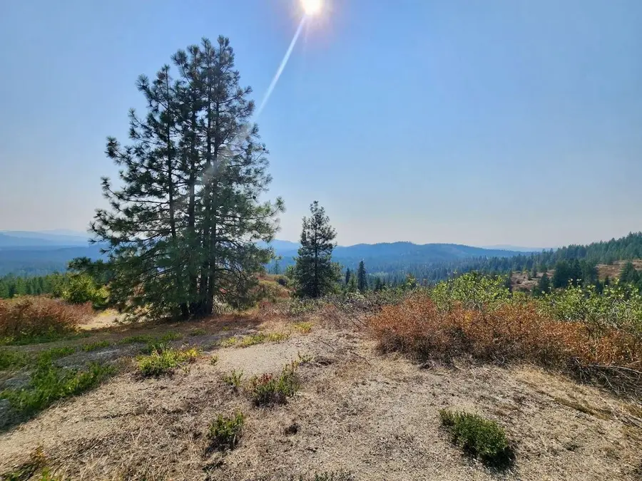 1700 Hershaw Rd, Newport, WA 99156 - #3