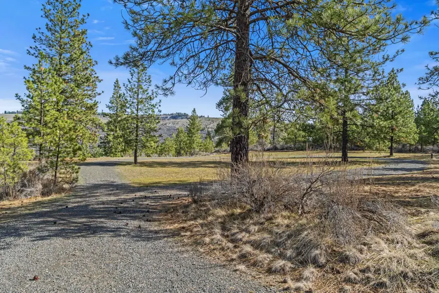 38800 E Sand Flats Dr, Davenport, WA 99122 - #3