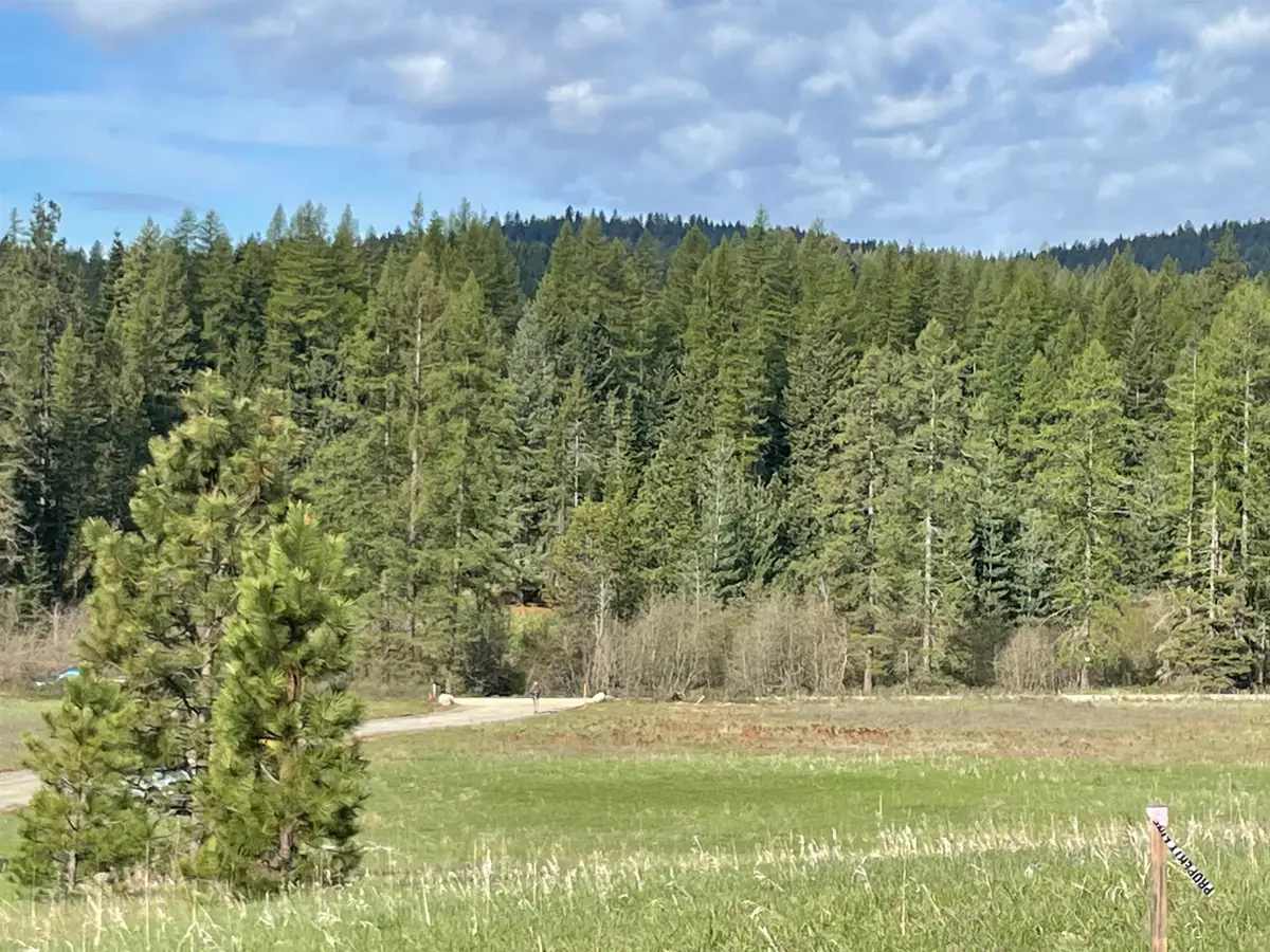 4435 Whittier (lot 1) Rd, Clayton, WA 99110 - #1