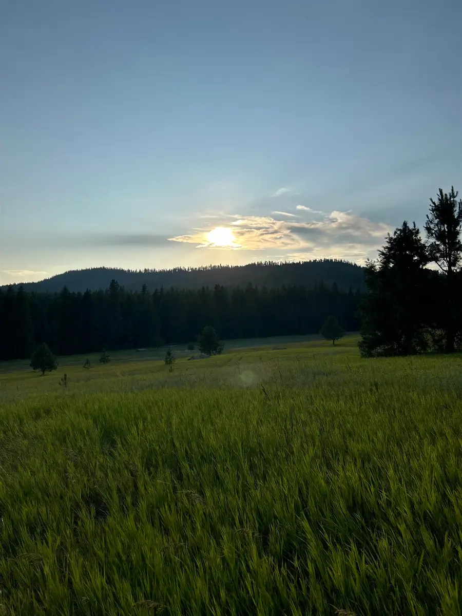 4435 Whittier (lot 1) Rd, Clayton, WA 99110 - #3