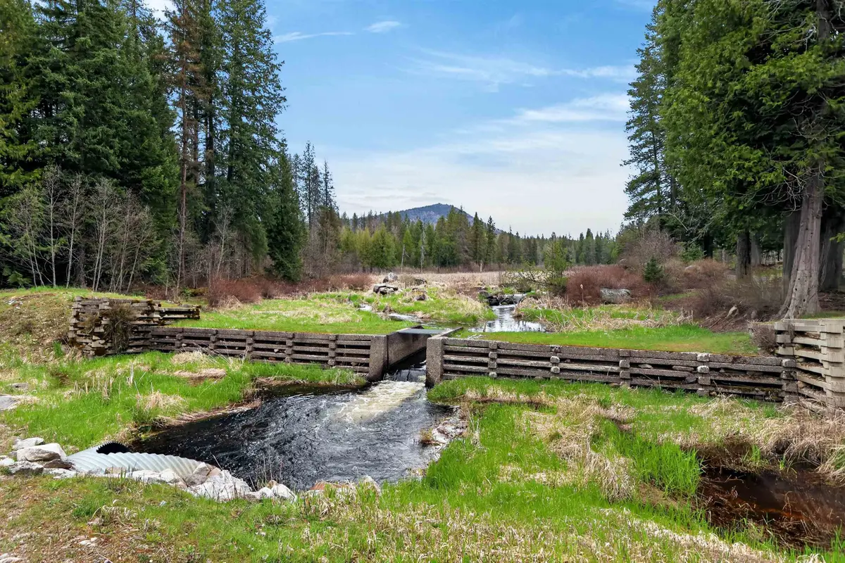 22 Elk Rd, Newport, WA 99156 - #1