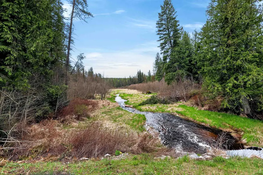 22 Elk Rd, Newport, WA 99156 - #2