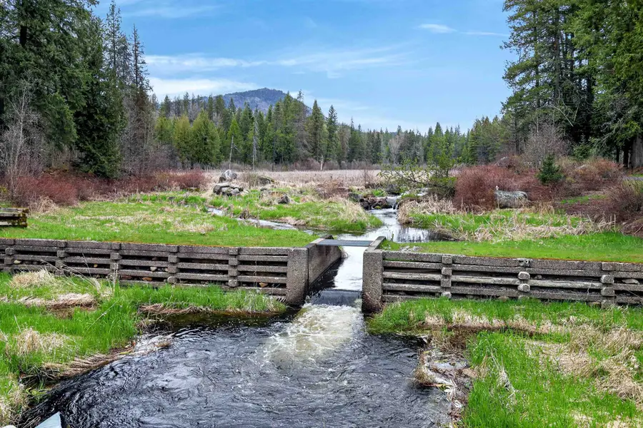 22 Elk Rd, Newport, WA 99156 - #3