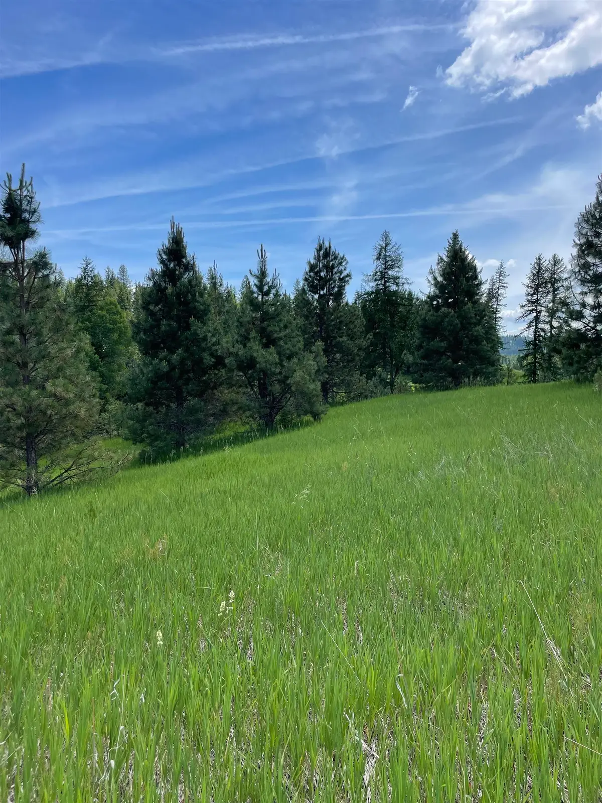 4435 Whittier (lot 3) Rd, Clayton, WA 99110 - #1