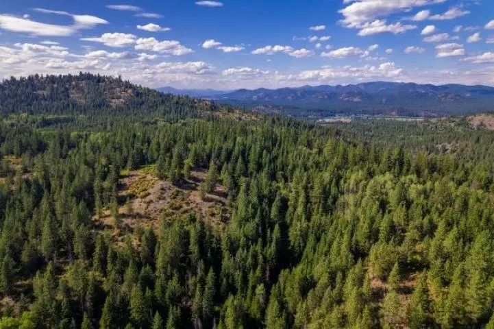 2157/2262 Mccloud Creek Rd, Newport, WA 99156 - #2