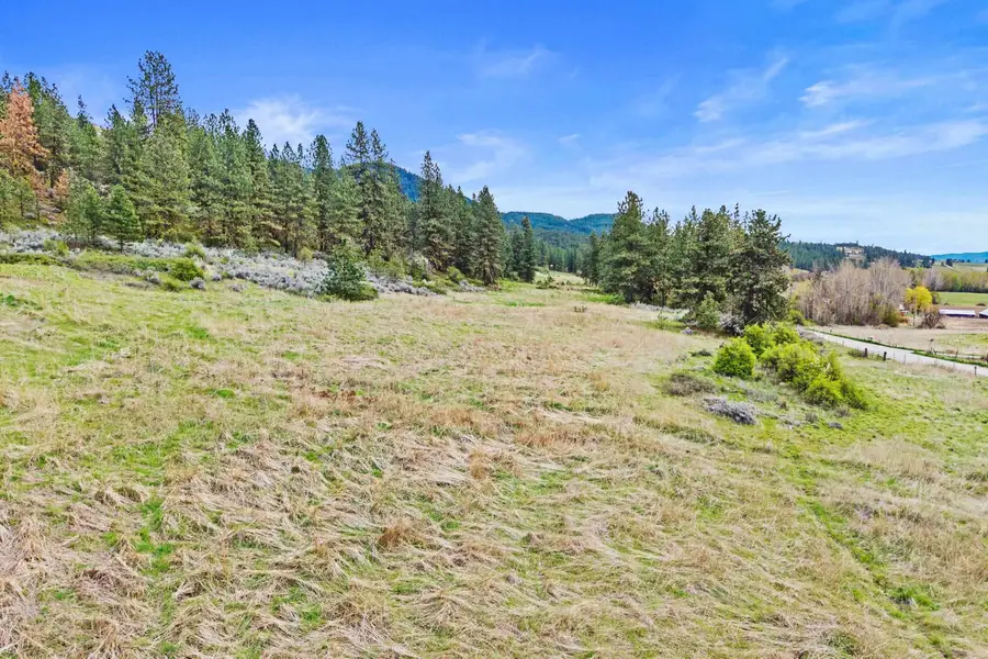 NKA Goddard Rd, Rice, WA 99167 - #3