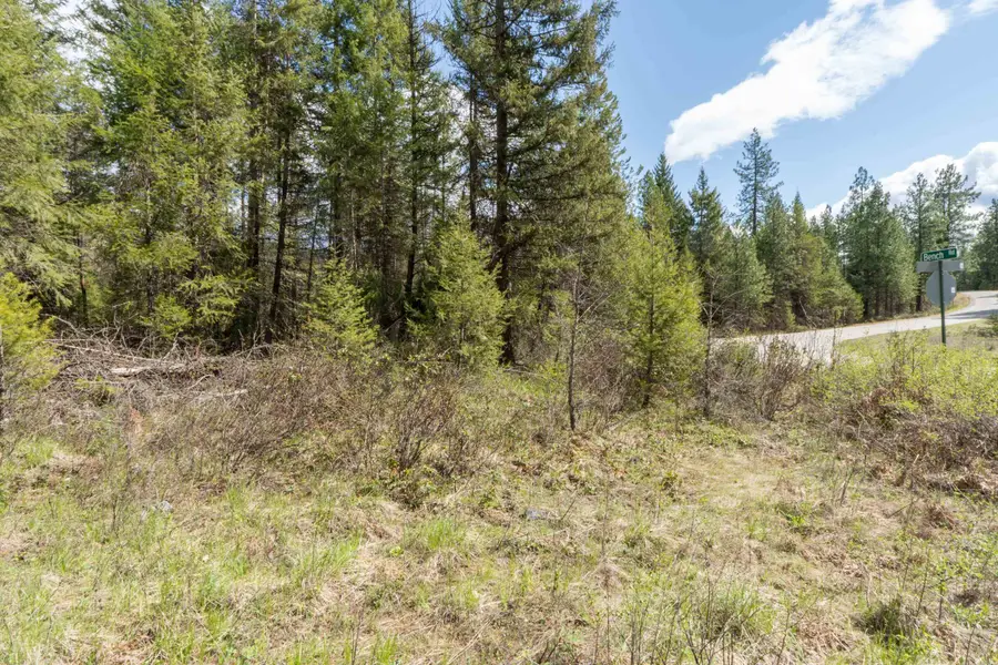 XX Bench Rd, Newport, WA 99156 - #3