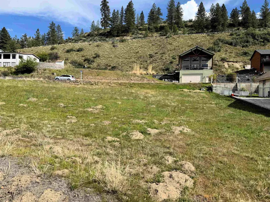 3317 Roosevelt Dr, Seven Bays, WA 99122 - #3