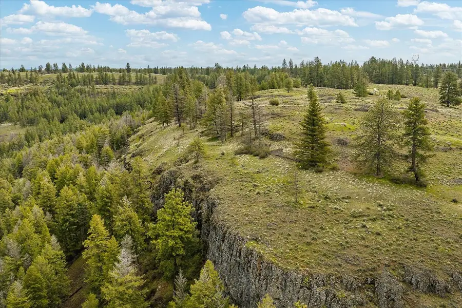 Tract 231 Hawk Creek, Davenport, WA 99122 - #2