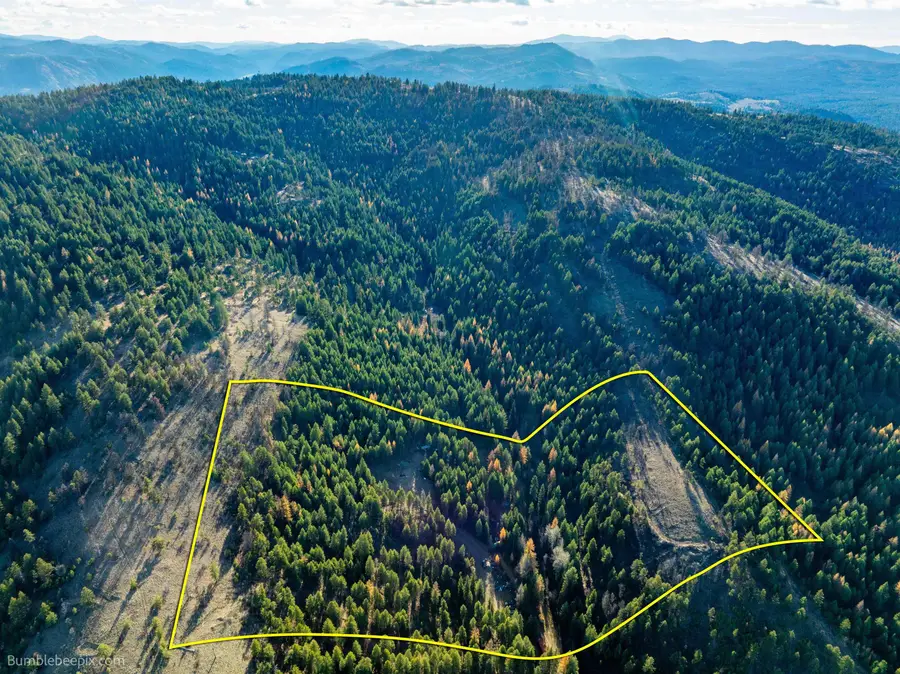 36 Quill Rd, Republic, WA 99166 - #2