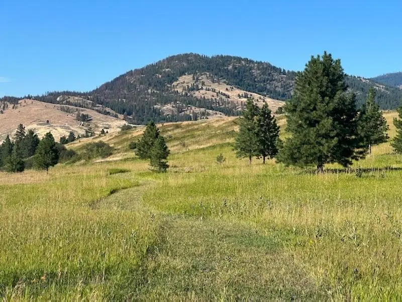 2069 B S Johnson Rd, Rice, WA 99167 - #3