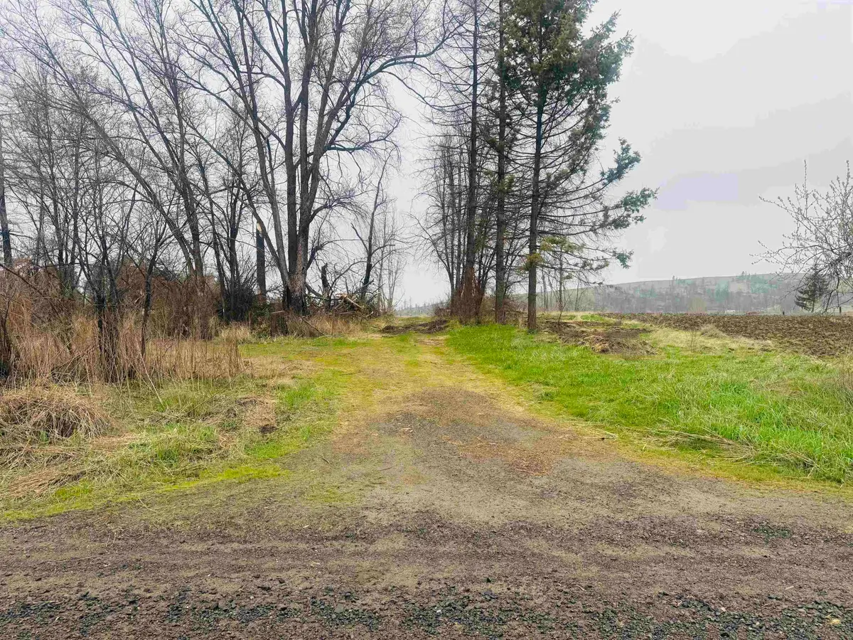 10524 S Murphy Rd, Cheney, WA 99004 - #1