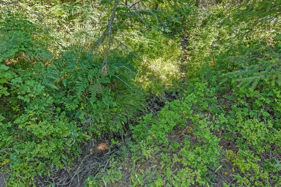 NKA E Belmont Rd, Mica, WA 99023 - #3