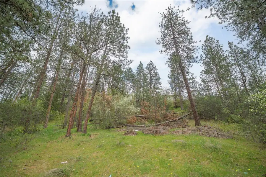 56XX E Eastwood Ave, Spokane Valley, WA 99216 - #2