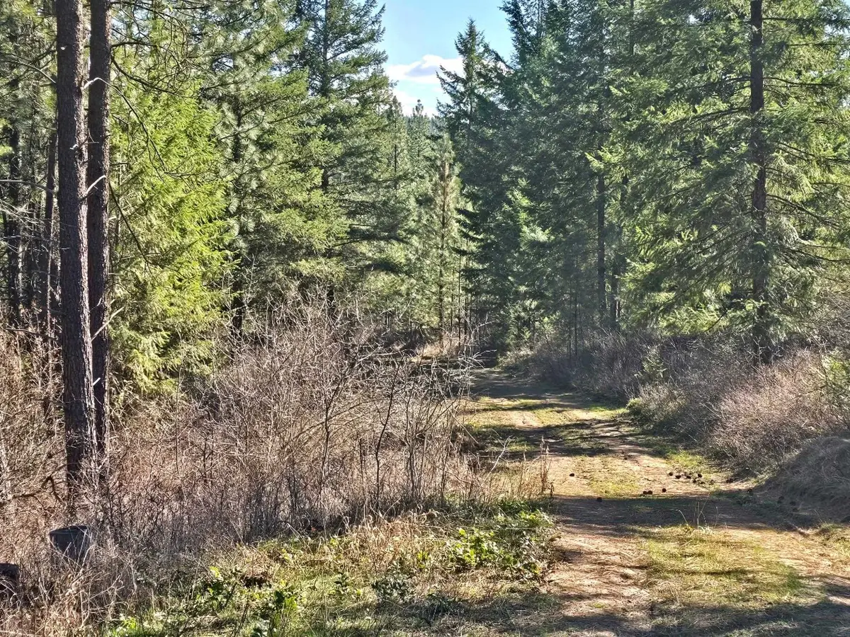 6400 Castle Rock Creek Rd Rd, Fruitland, WA 99129 - #1