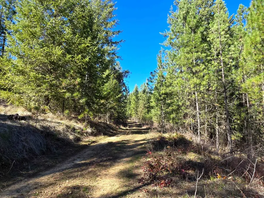 6400 Castle Rock Creek Rd Rd, Fruitland, WA 99129 - #2