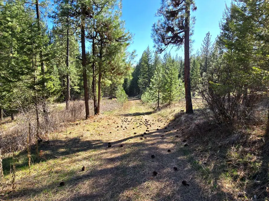 6400 Castle Rock Creek Rd Rd, Fruitland, WA 99129 - #3