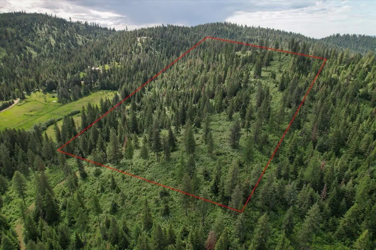 NNA E Bill Gulch Rd, Mead, WA 99021 - #1