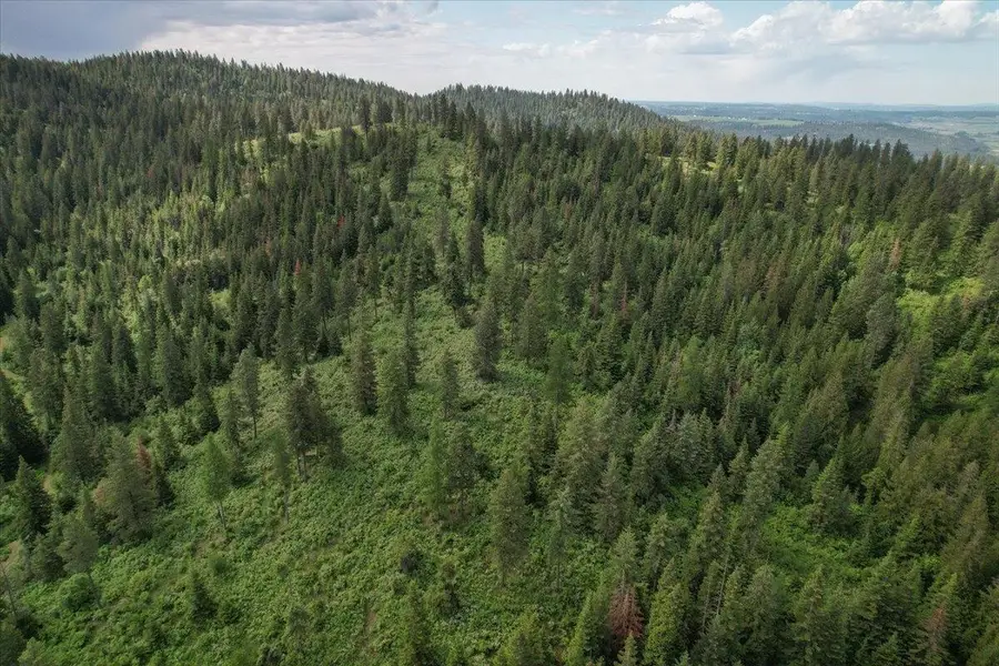 NNA E Bill Gulch Rd, Mead, WA 99021 - #2