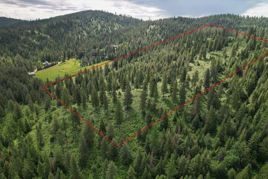 NNA E Bill Gulch Rd, Mead, WA 99021 - #3