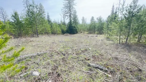 NKN Evergreen Rd, Ione, WA 99139