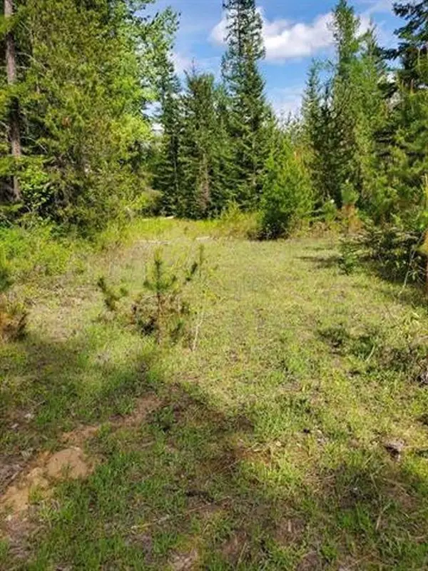 NKA Calispel Trl, Newport, WA 99156