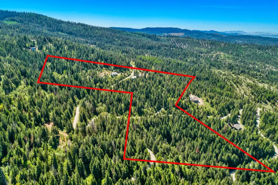 9338 S Caribou Ridge Rd, Harrison, ID 83833 - #2