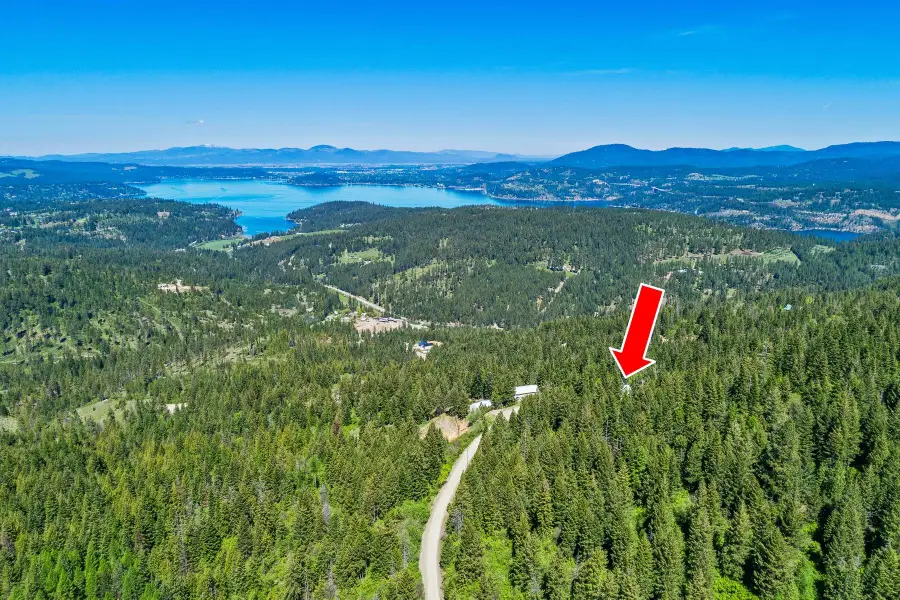 9338 S Caribou Ridge Rd, Harrison, ID 83833 - #3